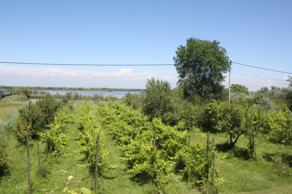 Tenuta Lio Maggiore Lido di Jesolo Luaran gambar