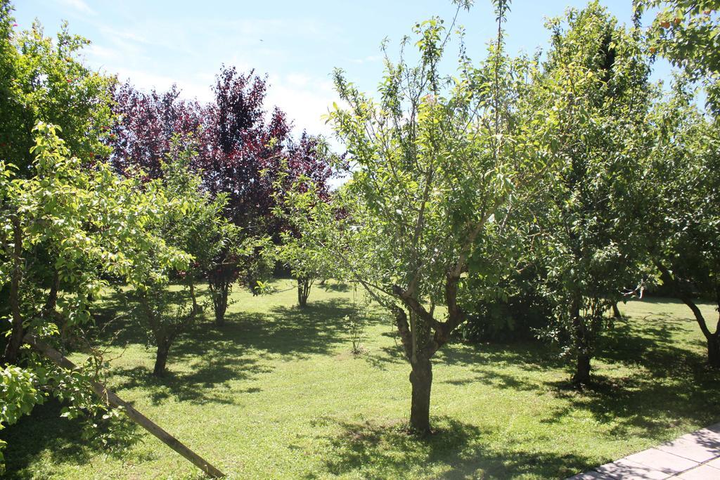 Tenuta Lio Maggiore Lido di Jesolo Luaran gambar