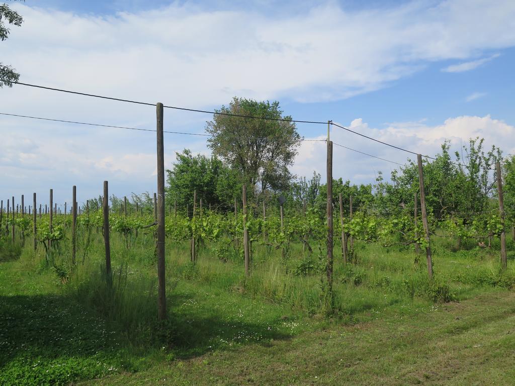 Tenuta Lio Maggiore Lido di Jesolo Luaran gambar