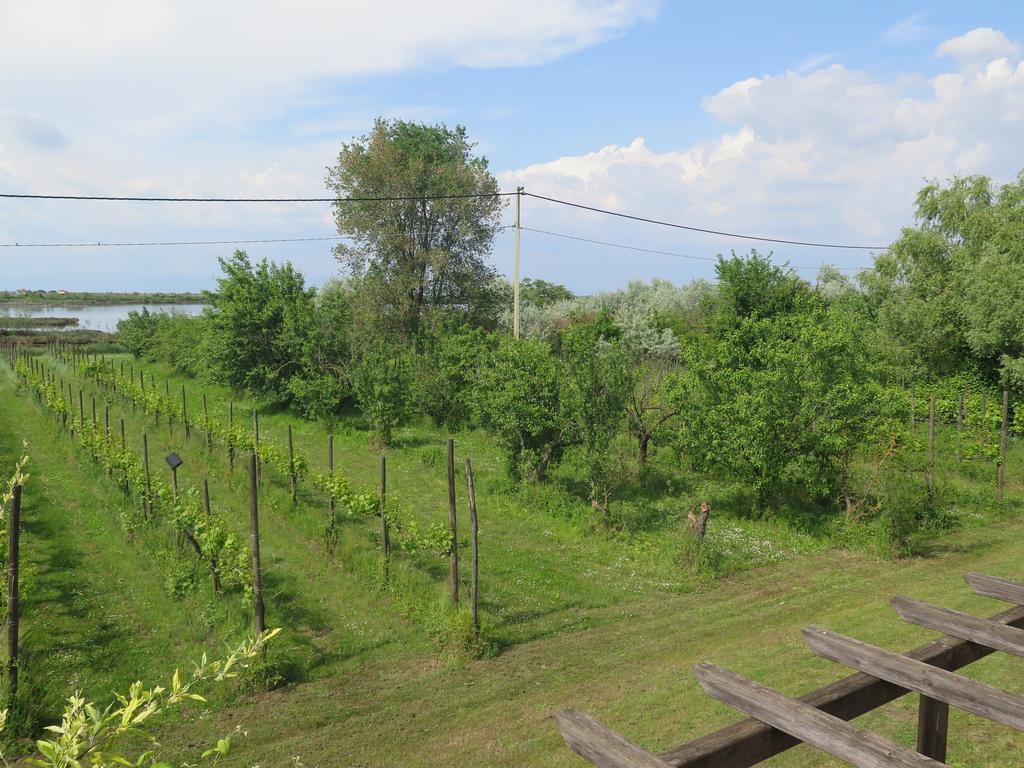 Tenuta Lio Maggiore Lido di Jesolo Luaran gambar